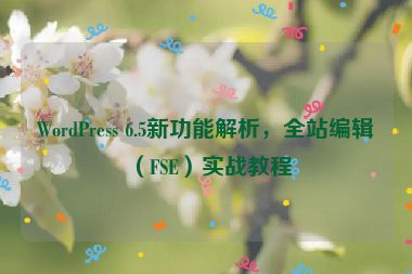 WordPress 6.5新功能解析，全站編輯（FSE）實(shí)戰(zhàn)教程