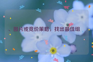 、圖片或競價(jià)策略，找出最佳組合