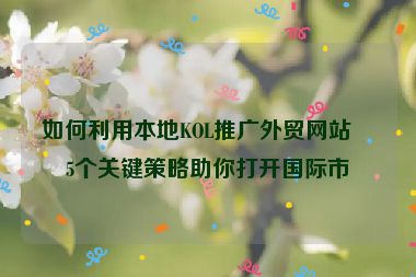如何利用本地KOL推廣外貿(mào)網(wǎng)站？5個關鍵策略助你打開國際市場