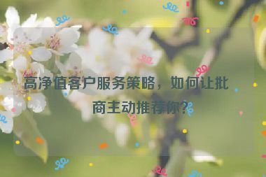 高凈值客戶服務(wù)策略，如何讓批發(fā)商主動推薦你？
