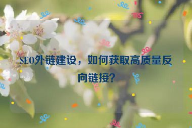SEO外鏈建設(shè)，如何獲取高質(zhì)量反向鏈接？