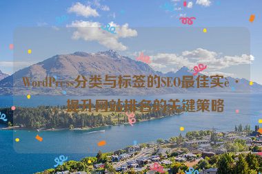 WordPress分類與標(biāo)簽的SEO最佳實(shí)踐，提升網(wǎng)站排名的關(guān)鍵策略