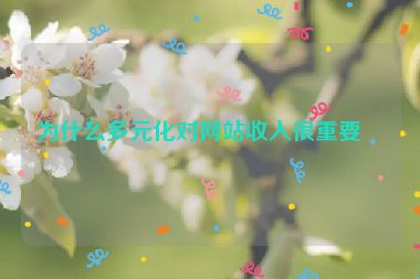 為什么多元化對網(wǎng)站收入很重要？