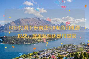 RCEP紅利下東南亞B2B電商的機遇與挑戰(zhàn)，掘金藍海還是暗礁密布？