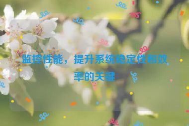 監(jiān)控性能，提升系統(tǒng)穩(wěn)定性和效率的關(guān)鍵