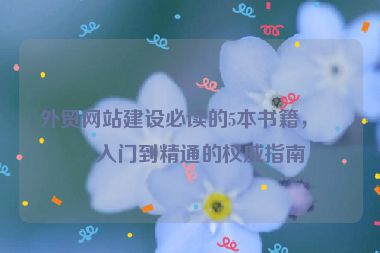 外貿(mào)網(wǎng)站建設(shè)必讀的5本書籍，從入門到精通的權(quán)威指南