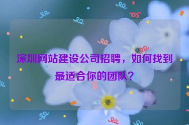 深圳網(wǎng)站建設(shè)公司招聘，如何找到最適合你的團隊？