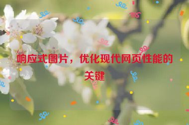響應(yīng)式圖片，優(yōu)化現(xiàn)代網(wǎng)頁性能的關(guān)鍵