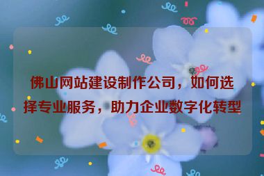 佛山網(wǎng)站建設(shè)制作公司，如何選擇專業(yè)服務(wù)，助力企業(yè)數(shù)字化轉(zhuǎn)型