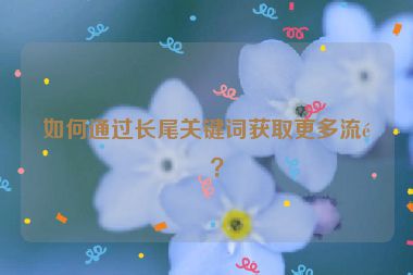 如何通過長尾關鍵詞獲取更多流量？