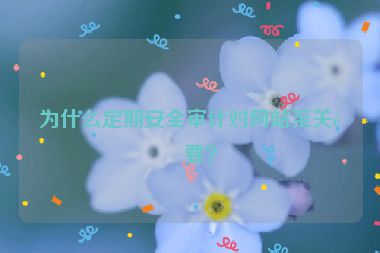 為什么定期安全審計(jì)對(duì)網(wǎng)站至關(guān)重要？