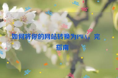 如何將你的網(wǎng)站轉(zhuǎn)換為PWA，完整指南