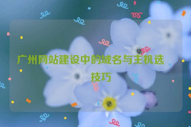廣州網站建設中的域名與主機選擇技巧