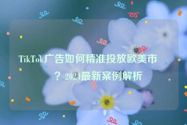 TikTok廣告如何精準(zhǔn)投放歐美市場？2024最新案例解析
