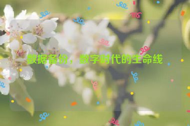 數(shù)據(jù)備份，數(shù)字時(shí)代的生命線