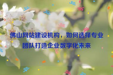 佛山網(wǎng)站建設(shè)機(jī)構(gòu)，如何選擇專業(yè)團(tuán)隊打造企業(yè)數(shù)字化未來