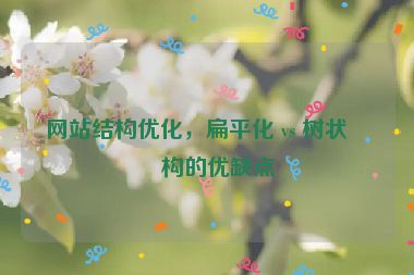 網(wǎng)站結(jié)構(gòu)優(yōu)化，扁平化 vs 樹狀結(jié)構(gòu)的優(yōu)缺點(diǎn)