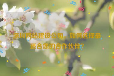 深圳網(wǎng)站建設(shè)公司，如何選擇最適合您的合作伙伴？