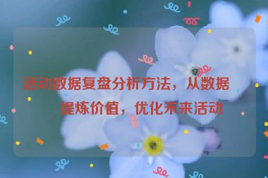活動數(shù)據(jù)復(fù)盤分析方法，從數(shù)據(jù)中提煉價值，優(yōu)化未來活動
