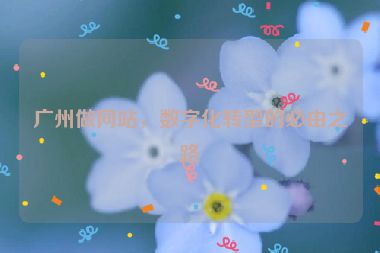 廣州做網(wǎng)站，數(shù)字化轉(zhuǎn)型的必由之路