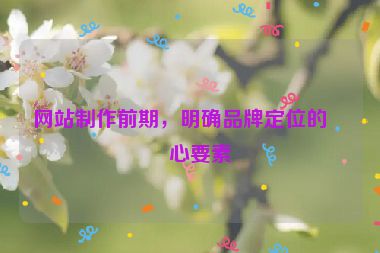 網(wǎng)站制作前期，明確品牌定位的核心要素