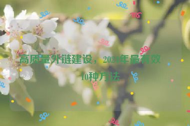 高質(zhì)量外鏈建設(shè)，2024年最有效的10種方法