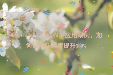 WebAssembly（WASM）應(yīng)用案例，如何讓網(wǎng)站速度提升300%