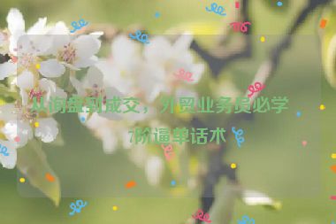 從詢盤到成交，外貿(mào)業(yè)務(wù)員必學(xué)的7階逼單話術(shù)