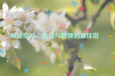 網(wǎng)站空間，選擇與管理的最佳指南