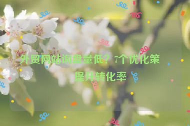 外貿(mào)網(wǎng)站詢盤量低？7個(gè)優(yōu)化策略提升轉(zhuǎn)化率