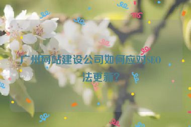 廣州網站建設公司如何應對SEO算法更新？