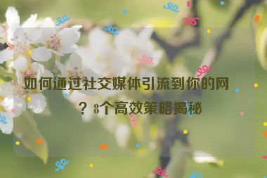 如何通過社交媒體引流到你的網(wǎng)站？8個(gè)高效策略揭秘