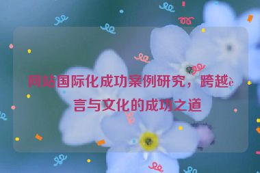 網(wǎng)站國際化成功案例研究，跨越語言與文化的成功之道