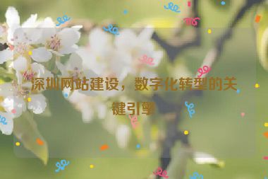 深圳網(wǎng)站建設(shè)，數(shù)字化轉(zhuǎn)型的關(guān)鍵引擎