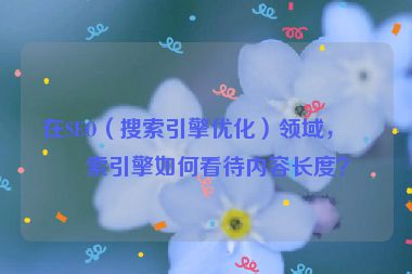 在SEO（搜索引擎優(yōu)化）領域，搜索引擎如何看待內(nèi)容長度？