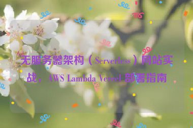 無(wú)服務(wù)器架構(gòu)（Serverless）網(wǎng)站實(shí)戰(zhàn)，AWS Lambda Vercel 部署指南