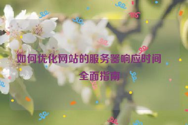 如何優(yōu)化網(wǎng)站的服務(wù)器響應(yīng)時(shí)間，全面指南