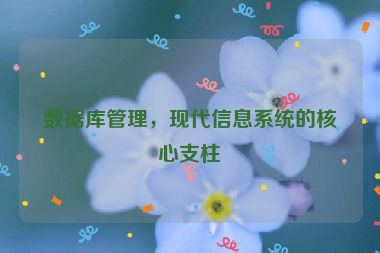 數(shù)據(jù)庫管理，現(xiàn)代信息系統(tǒng)的核心支柱