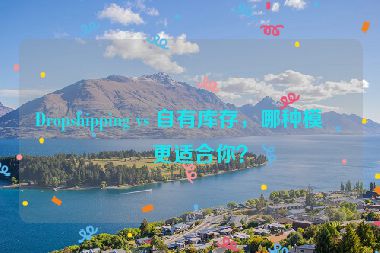 Dropshipping vs 自有庫存，哪種模式更適合你？