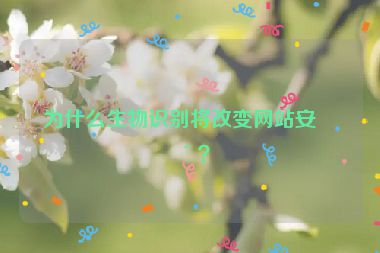 為什么生物識(shí)別將改變網(wǎng)站安全？