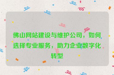 佛山網(wǎng)站建設(shè)與維護(hù)公司，如何選擇專業(yè)服務(wù)，助力企業(yè)數(shù)字化轉(zhuǎn)型