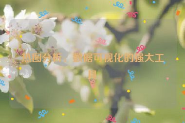 熱圖分析，數(shù)據(jù)可視化的強大工具