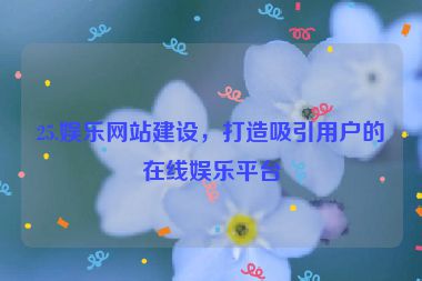 25.娛樂網(wǎng)站建設(shè)，打造吸引用戶的在線娛樂平臺(tái)