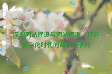 深圳網(wǎng)站建設(shè)與網(wǎng)站營(yíng)銷，打造數(shù)字化時(shí)代的商業(yè)競(jìng)爭(zhēng)力
