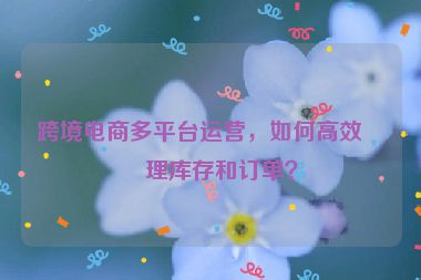 跨境電商多平臺運(yùn)營，如何高效管理庫存和訂單？