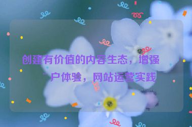 創(chuàng)建有價值的內(nèi)容生態(tài)，增強用戶體驗，網(wǎng)站運營實踐