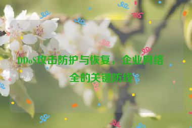DDoS攻擊防護(hù)與恢復(fù)，企業(yè)網(wǎng)絡(luò)安全的關(guān)鍵防線