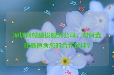 深圳網(wǎng)站建設(shè)服務(wù)公司，如何選擇最適合您的合作伙伴？