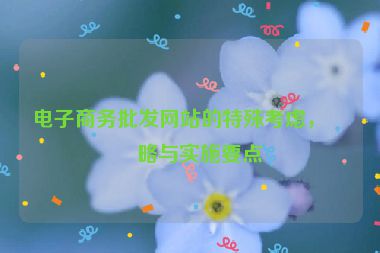 電子商務(wù)批發(fā)網(wǎng)站的特殊考慮，策略與實施要點