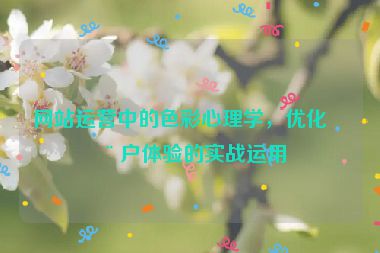 網(wǎng)站運(yùn)營(yíng)中的色彩心理學(xué)，優(yōu)化用戶體驗(yàn)的實(shí)戰(zhàn)運(yùn)用